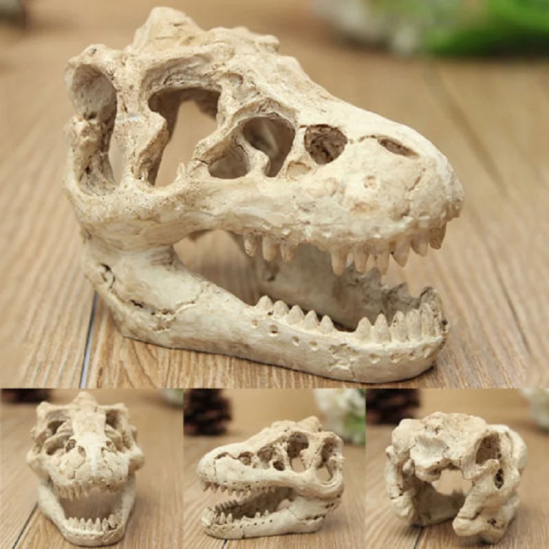 Resin Dinosaur Skull Pet Fish Tank Landscape Simulation Head Bone Aquarium Terrarium Reptile Hide Cave Decoration Ornament
Resin Dinosaur Skull Pet Fish Tank Landscape Simulation Head Bone Aquarium Terrarium Reptile Hide Cave Decoration Ornament