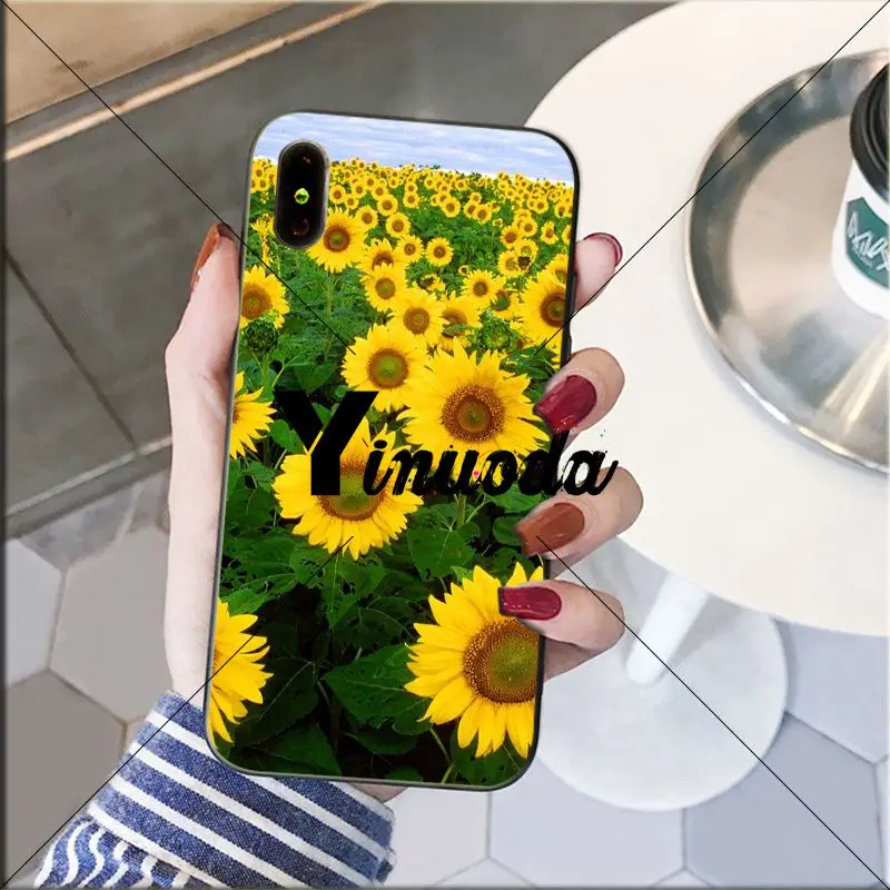 Yellow flower Small daisy sunflower