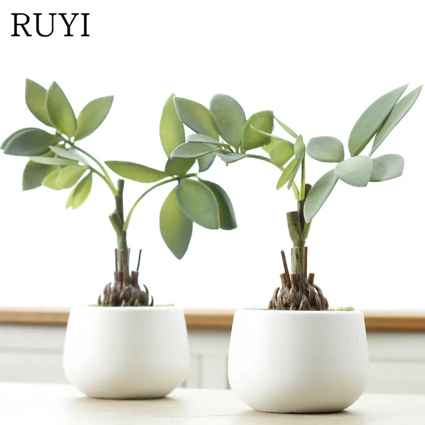 Real Touch Fortune Tree Simulation Succulents Potted Plant With Vase Artificial Flower Potted Landscape Home Office Decoration
Real Touch Fortune Tree Simulation Succulents Potted Plant With Vase Artificial Flower Potted Landscape Home Office Decoration
