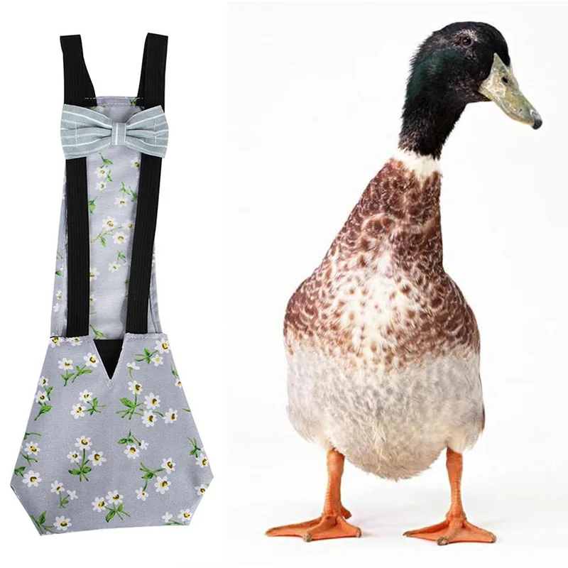Chicken Duck Diaper Farm Clothing Print Flower Polyester Bowknot Pet Diaper With An Elastic Band Pet Accessary
Chicken Duck Diaper Farm Clothing Print Flower Polyester Bowknot Pet Diaper With An Elastic Band Pet Accessary