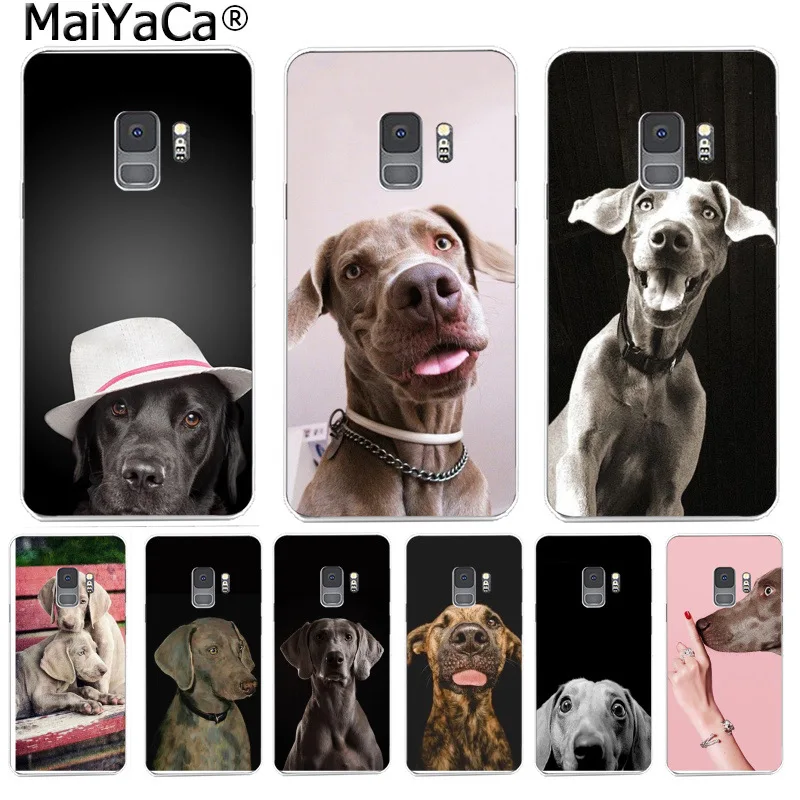 MaiYaCa Weimaraner dog art Phone Cover Funny Letter Cases for Samsung S9 S9 plus S5 S6 S6edge S6plus S7 S7edge S8 S8plus
MaiYaCa Weimaraner dog art Phone Cover Funny Letter Cases for Samsung S9 S9 plus S5 S6 S6edge S6plus S7 S7edge S8 S8plus