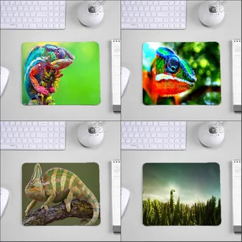 Mairuige So Beautiful Animals Pet Chameleon Pattern Mousepads for Decorate Desktop 220x180x2MM Small Size Pad To Gaming Mouse
Mairuige So Beautiful Animals Pet Chameleon Pattern Mousepads for Decorate Desktop 220x180x2MM Small Size Pad To Gaming Mouse