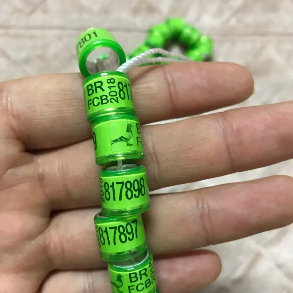 2019 pigeons rings bird ring Light Green BR FCB 2019 with pigeon picture 000001-000100 big words high quality 8mm inner rings
2019 pigeons rings bird ring Light Green BR FCB 2019 with pigeon picture 000001-000100 big words high quality 8mm inner rings