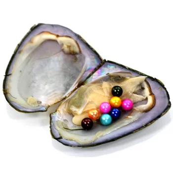 Bulk pearls 8 Pearls in one Oyster rainbow color Round pearls mixed beautiful color freshwater oysters best gift for girl FR039
Bulk pearls 8 Pearls in one Oyster rainbow color Round pearls mixed beautiful color freshwater oysters best gift for girl FR039