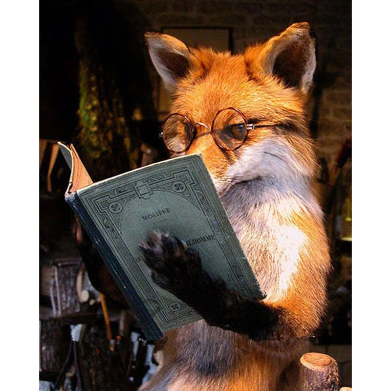 Diamond Embroidery 5D DIY Diamond Painting The fox is reading a book Diamond Painting Cross Stitch Rhinestone Mosaic
Diamond Embroidery 5D DIY Diamond Painting The fox is reading a book Diamond Painting Cross Stitch Rhinestone Mosaic