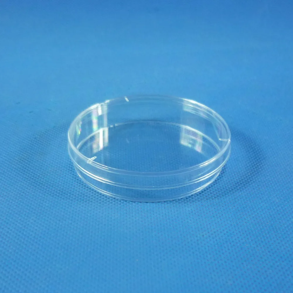 10 pcs/pack 60mm x15mm Laboratory Plastic Petri Dish Transparent Clear For Lab Bacterial Yeast Biological Scientific Supply
10 pcs/pack 60mm x15mm Laboratory Plastic Petri Dish Transparent Clear For Lab Bacterial Yeast Biological Scientific Supply