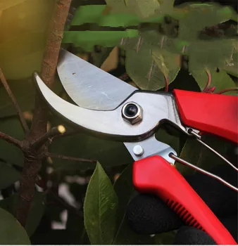 Gardening Scissors Durable Pruning Shears Quick and Sharp Endurance Spring Anti-skid Hand Handle Not Hurt the Branch Easily
Gardening Scissors Durable Pruning Shears Quick and Sharp Endurance Spring Anti-skid Hand Handle Not Hurt the Branch Easily