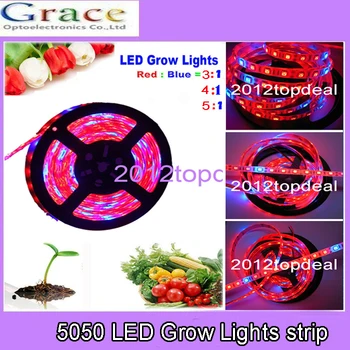 Waterproof LED Plant Grow Lights 5050 LED Strip DC12V Red Blue 3:1, 4:1, 5:1, for Greenhouse Hydroponic Plant Growing,5m/lot
Waterproof LED Plant Grow Lights 5050 LED Strip DC12V Red Blue 3:1, 4:1, 5:1, for Greenhouse Hydroponic Plant Growing,5m/lot