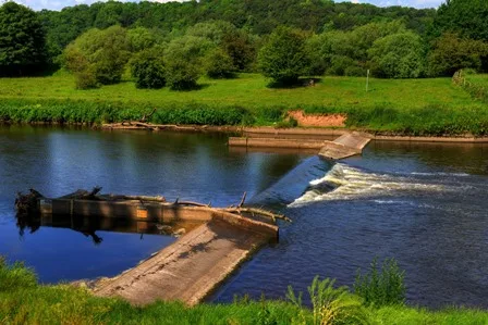 Английский Ribbleton Preston river dam driftwood shore трава деревья природа пейзаж 4 размера
