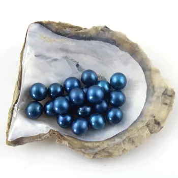 5pcs AAA quality 6-8mm loose round pearl with no hole rainbow color perfect round shape cultured freshwater pearl oyster-E009
5pcs AAA quality 6-8mm loose round pearl with no hole rainbow color perfect round shape cultured freshwater pearl oyster-E009