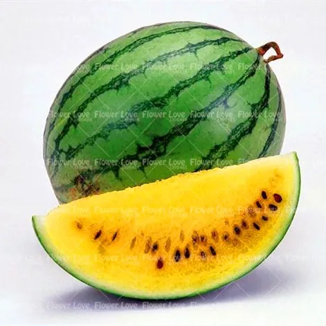 30Pcs Yellow heart Watermelon bonsai plants Organic Bonsai Fruit Melon(Citrullus lanatus) NON-GMO Fruit For Home Garden Planting
30Pcs Yellow heart Watermelon bonsai plants Organic Bonsai Fruit Melon(Citrullus lanatus) NON-GMO Fruit For Home Garden Planting