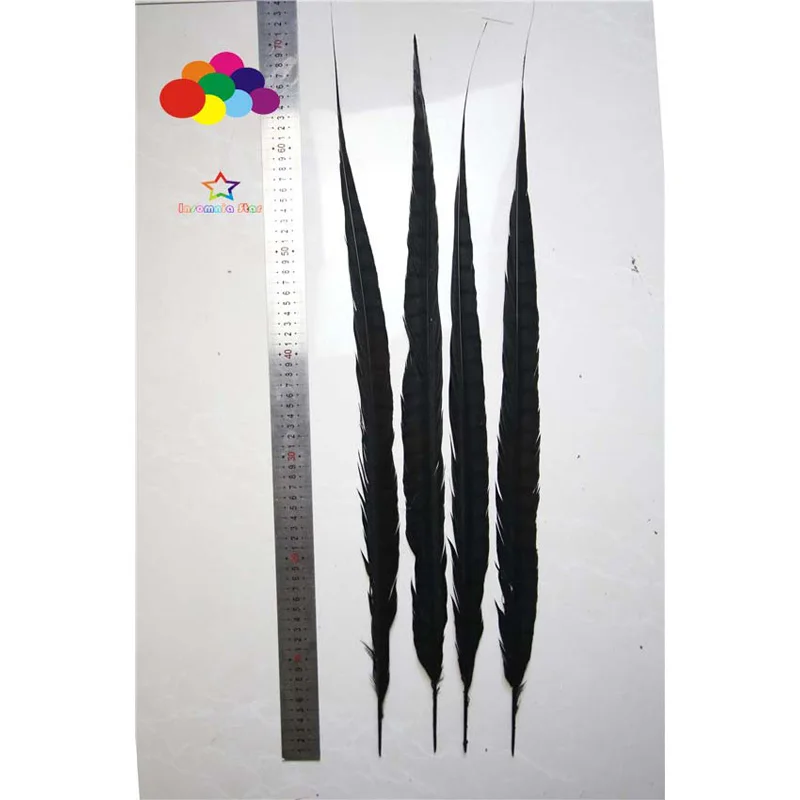 50pcs 24-44inch/60-110cm dyed tail black precious 100% Natural copper pheasant feathers for carnival feathers Diy costume
50pcs 24-44inch/60-110cm dyed tail black precious 100% Natural copper pheasant feathers for carnival feathers Diy costume