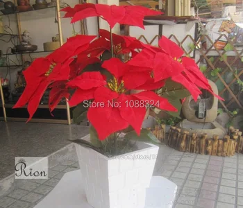 Silk poinsettia for decor ,Craft fabric plant , Wedding Party Event display , artificial Christmas flower set , 0400
Silk poinsettia for decor ,Craft fabric plant , Wedding Party Event display , artificial Christmas flower set , 0400