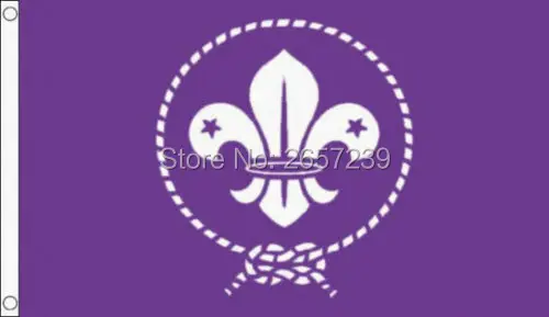 BOY SCOUT Flag 3x5FT banner 100D 150X90CM Polyester brass grommets custom66,free shipping
BOY SCOUT Flag 3x5FT banner 100D 150X90CM Polyester brass grommets custom66,free shipping