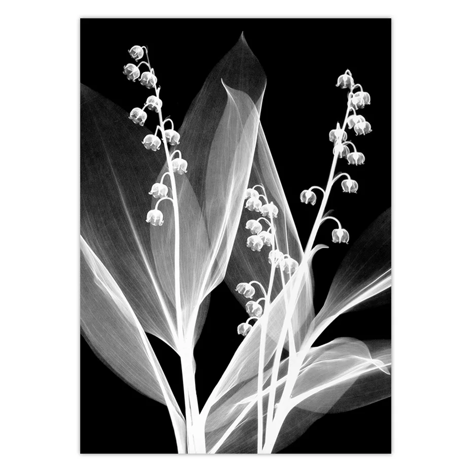 color_opt_10
