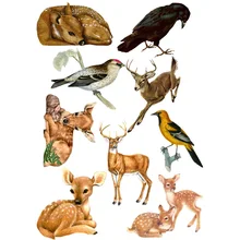 2022NEW 2 pcs/lot Forest Animal Decoration Uncut Aesthetic Decor Autocollant My Account Stikers Scrapbook Cute Diary Planner
2022NEW 2 pcs/lot Forest Animal Decoration Uncut Aesthetic Decor Autocollant My Account Stikers Scrapbook Cute Diary Planner