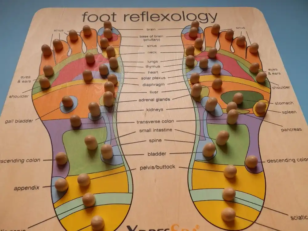 Acupressure Foot Chart