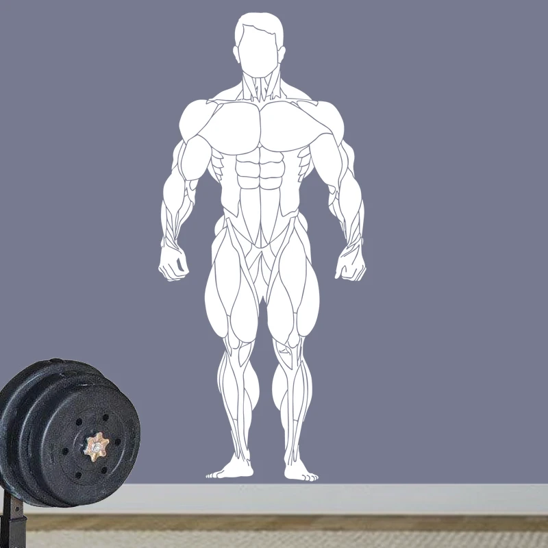 Gym Sticker Fitness Decal Body-building Posters Vinyl Wall Decals Pegatina Quadro Parede Decor Mural Gym Sticker JSL049