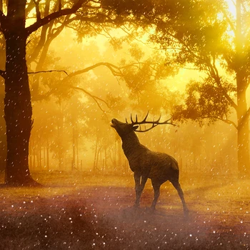 YongHe Nordic Decorative Painting Europe Spray Painting Elk Sunshine Tree Oil Paintings Wall Pictures For Guest Living Room
YongHe Nordic Decorative Painting Europe Spray Painting Elk Sunshine Tree Oil Paintings Wall Pictures For Guest Living Room