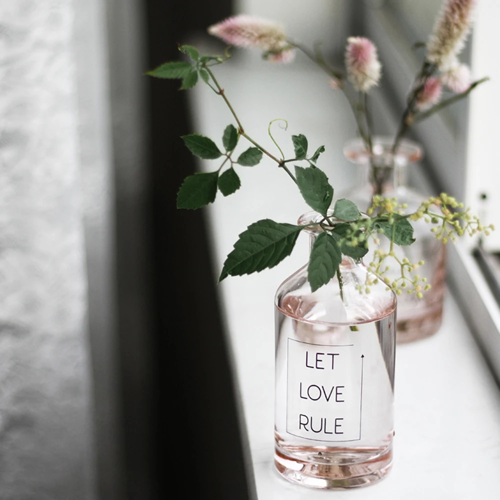 Chic Pink Clear Glass Vase Scandinavian Desk Flower Bottle Nordic Vogue Floral Jar Home Decor
Chic Pink Clear Glass Vase Scandinavian Desk Flower Bottle Nordic Vogue Floral Jar Home Decor