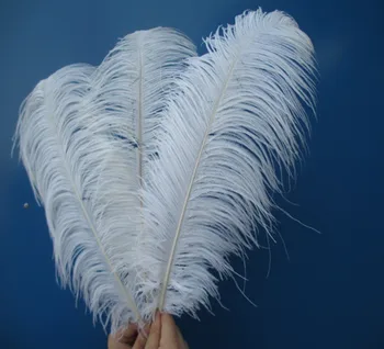 wholesale hard rods natural 100 pcs/lot 22-24 inch 55-60 cm" white fluffy Ostrich Feather Plume wedding decoration
wholesale hard rods natural 100 pcs/lot 22-24 inch 55-60 cm" white fluffy Ostrich Feather Plume wedding decoration