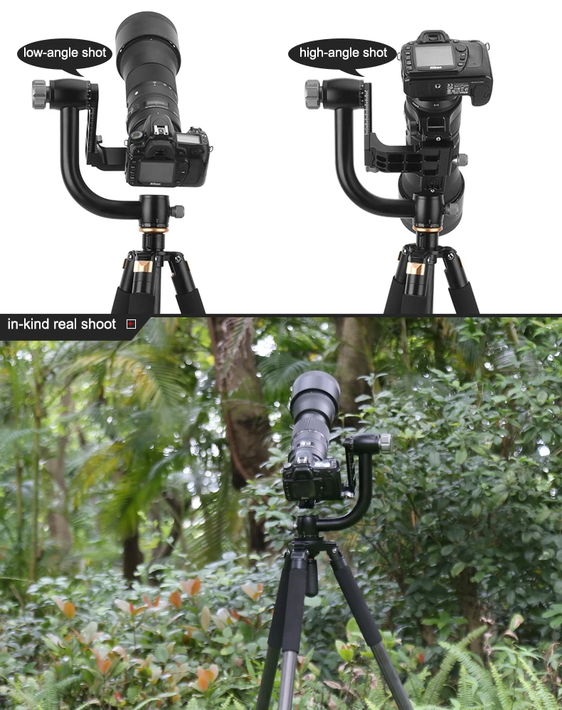 bird watching head-4