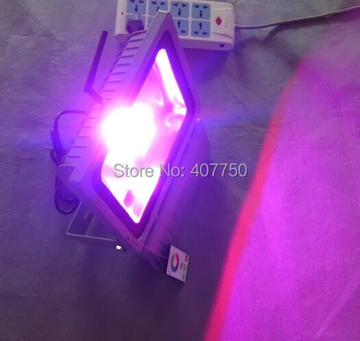 free shipping to Oceania RF wireless rgb 60w led flood light control range 100m AC85V/265V 4pcs/Lot used for parks and lawns
free shipping to Oceania RF wireless rgb 60w led flood light control range 100m AC85V/265V 4pcs/Lot used for parks and lawns