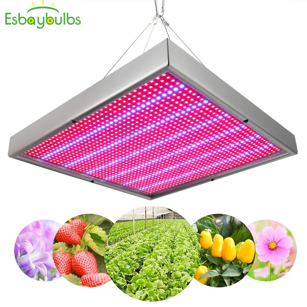 LED grow light 120W Red Blue Led Panel for Plant Growth Flower Bloom Lamp For indoor Greenhouse Agricultural vegetable Grow Tent
LED grow light 120W Red Blue Led Panel for Plant Growth Flower Bloom Lamp For indoor Greenhouse Agricultural vegetable Grow Tent