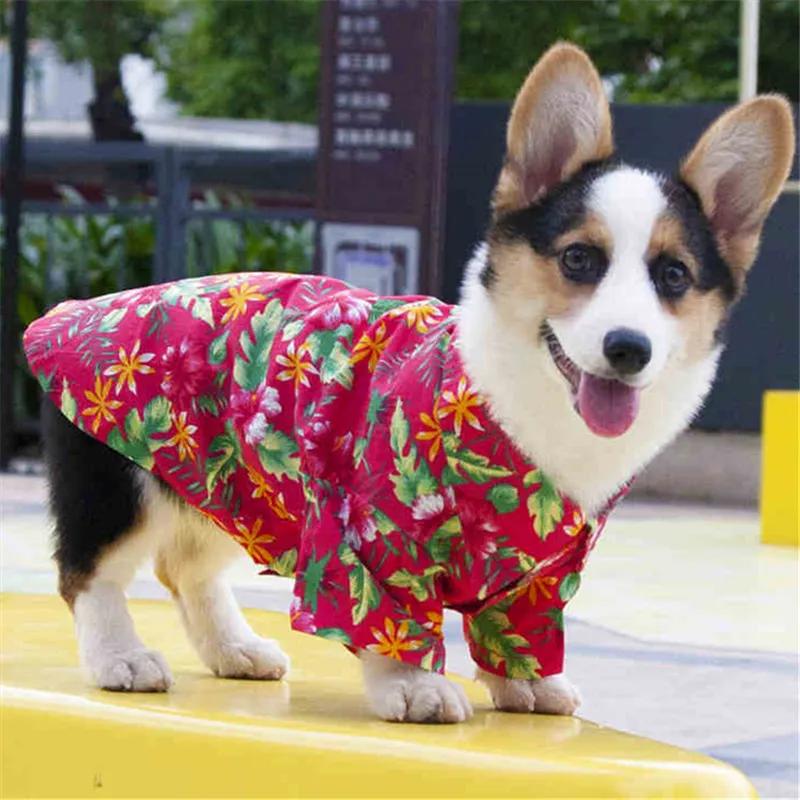 Welsh Corgi Dog Clothes Summer Pet Clothing Coat Poodle Bichon Frise Schnauzer Pug Clothing Pet Dog Shirt French Bulldog Costume
Welsh Corgi Dog Clothes Summer Pet Clothing Coat Poodle Bichon Frise Schnauzer Pug Clothing Pet Dog Shirt French Bulldog Costume