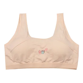 Girls Underwear Teenage Training Bra For Girl Solid Sports Bra Foam Top For Teens Adolescente Lingerie
Girls Underwear Teenage Training Bra For Girl Solid Sports Bra Foam Top For Teens Adolescente Lingerie