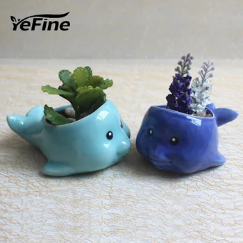 Yefine Creative Dolphin Cartoon Animal Ceramic Fleshy Flowerpot Home Table Pot Culture Flower Pot Fashion Green Plant Decoration
Yefine Creative Dolphin Cartoon Animal Ceramic Fleshy Flowerpot Home Table Pot Culture Flower Pot Fashion Green Plant Decoration
