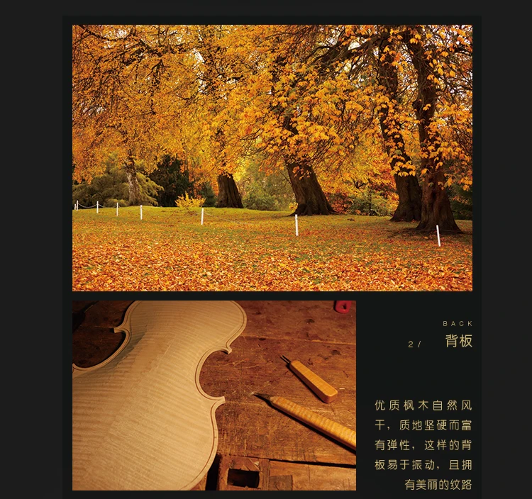 1022--557164592227_detail_16