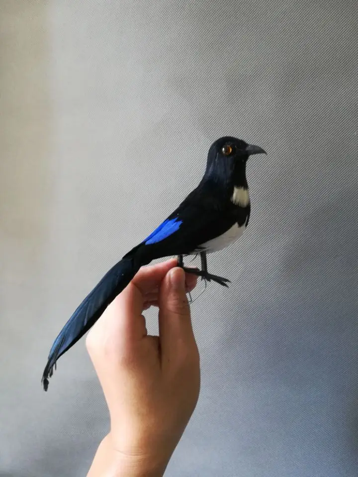 real life toy feathers bird model about 22cm magpie home garden decoration prop gift h1058 | Игрушки и хобби