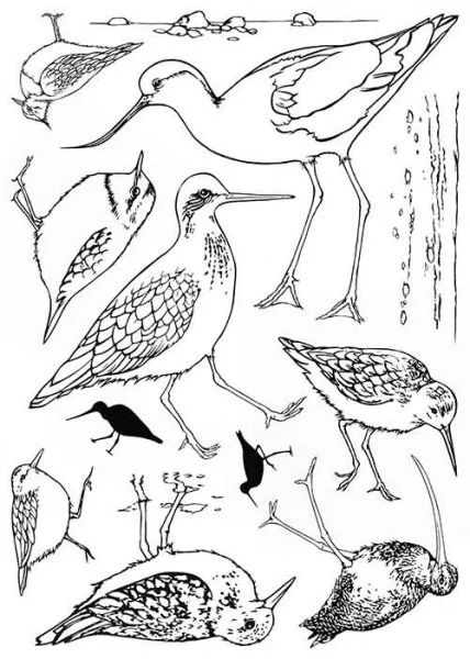 Bird stamp Clear Stamp for Scrapbooking Transparent Silicone Rubber DIY Photo Album Decor 666
Bird stamp Clear Stamp for Scrapbooking Transparent Silicone Rubber DIY Photo Album Decor 666