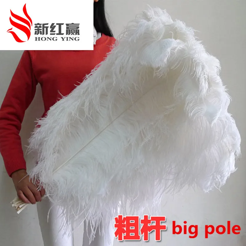Pluma de la avestruz Wholesale 5 pcs ostrich feather 26-28inches/65-70cm long white feathers for Wedding decoration
Pluma de la avestruz Wholesale 5 pcs ostrich feather 26-28inches/65-70cm long white feathers for Wedding decoration