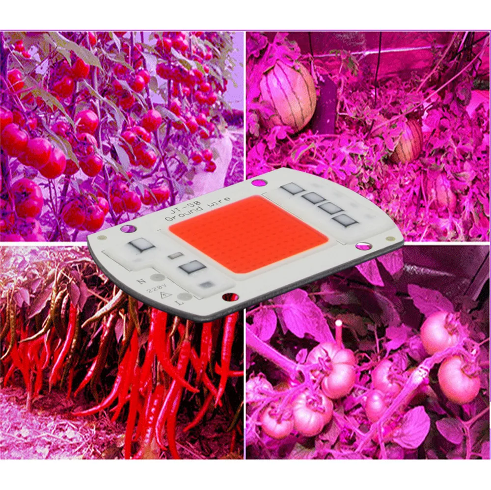DIY AC COB LED Grow Light Chip 220V Real Full Spectrum 380~780nm Actrual Power 20W 30W 50W Replace Sunlight for Indoor Plants
DIY AC COB LED Grow Light Chip 220V Real Full Spectrum 380~780nm Actrual Power 20W 30W 50W Replace Sunlight for Indoor Plants