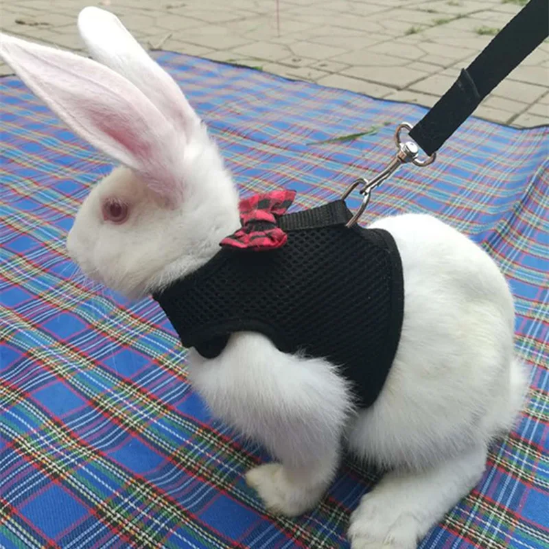 Rabbits Hamster Vest Harness With Leash Bunny Mesh Chest Strap Harnesses Ferret Guinea Pig Small Animals Pet Accessories S M L
Rabbits Hamster Vest Harness With Leash Bunny Mesh Chest Strap Harnesses Ferret Guinea Pig Small Animals Pet Accessories S M L