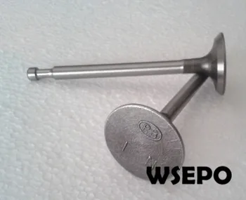 Chongqing Quality! Intake and Exhaust Valves Kit for EY28 air cooled 4 stroke 7.5HP Small Gasoline Engine,RGX3500 Parts
Chongqing Quality! Intake and Exhaust Valves Kit for EY28 air cooled 4 stroke 7.5HP Small Gasoline Engine,RGX3500 Parts