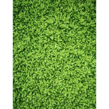 TR Photographic New Spring Backgrounds Vine Lawn Leafy Green Screen Newborn Kids Vinyl Backdrops Photocall Baby Shower Wood Prop
TR Photographic New Spring Backgrounds Vine Lawn Leafy Green Screen Newborn Kids Vinyl Backdrops Photocall Baby Shower Wood Prop