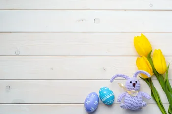 Eggs Tulip Rabbit Fotografie Achtergrond Photo Studio Background Baby Shower Backdrop E190127A100
Eggs Tulip Rabbit Fotografie Achtergrond Photo Studio Background Baby Shower Backdrop E190127A100