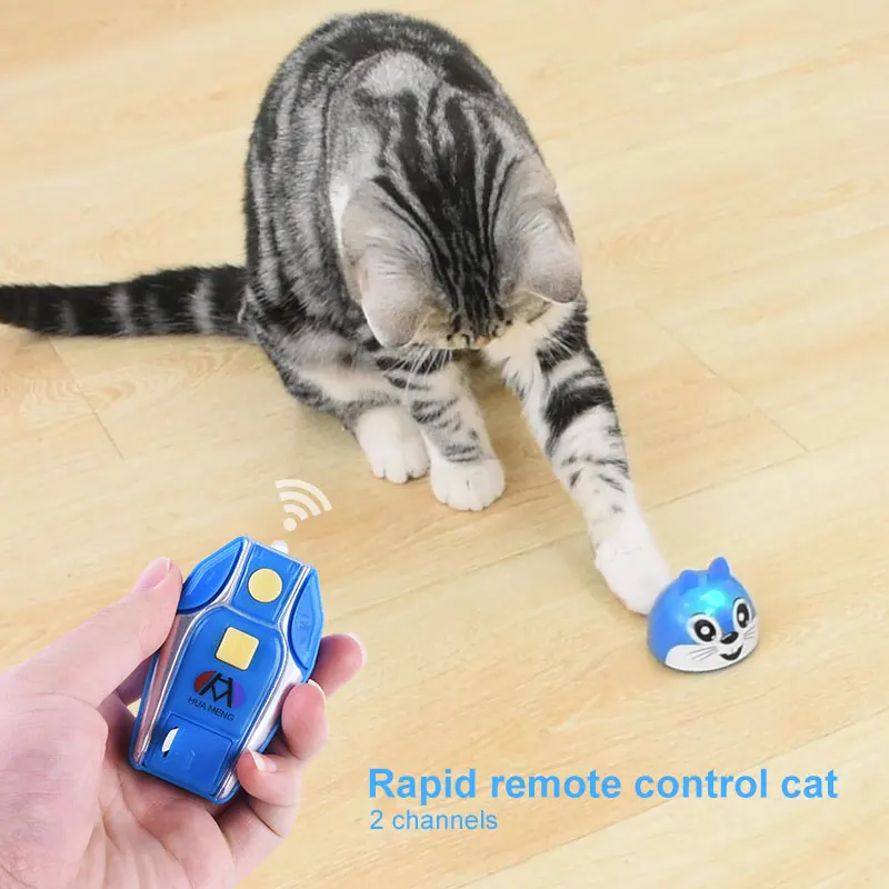 Remote Control Cat Toy Blue Indoor Relax Cultivate Interest 2 Channel Beginning Ability Game Rc Car Gift Decor Play with Cats
Remote Control Cat Toy Blue Indoor Relax Cultivate Interest 2 Channel Beginning Ability Game Rc Car Gift Decor Play with Cats