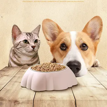 Pet Dog Durable Stainless Steel Flower Shape Bowl Dog Cat Drinking Eating Anti-Slip Feeder BW759
Pet Dog Durable Stainless Steel Flower Shape Bowl Dog Cat Drinking Eating Anti-Slip Feeder BW759