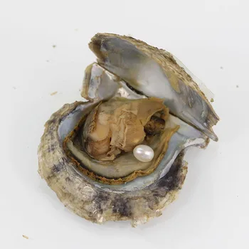 Wholesale AAA Grade Rice Oval Shape Natural lavende Pearl Akoya Pearl Beads Natual Akoya Oysters with Vacuum Package AO012
Wholesale AAA Grade Rice Oval Shape Natural lavende Pearl Akoya Pearl Beads Natual Akoya Oysters with Vacuum Package AO012