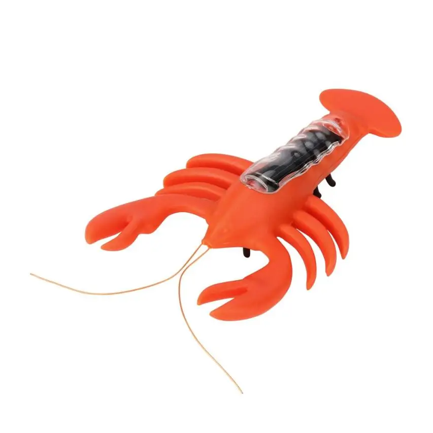 NEW Solar Powered Lobsters Gadget Brain Game Kids Educational Toys Solar Toys T529
NEW Solar Powered Lobsters Gadget Brain Game Kids Educational Toys Solar Toys T529