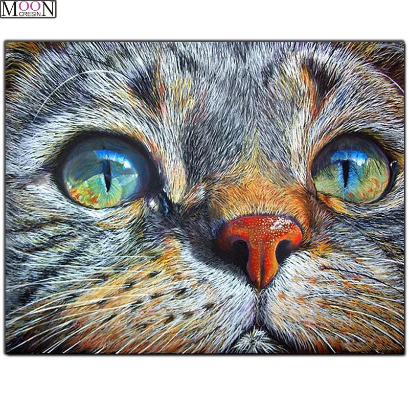 DIY 5D Diamond Painting Cross Cat Eager Eyes Diamond Embroidery Square Drill Diamond Mosaic Decoration Rhinestones Animals Gifts
DIY 5D Diamond Painting Cross Cat Eager Eyes Diamond Embroidery Square Drill Diamond Mosaic Decoration Rhinestones Animals Gifts