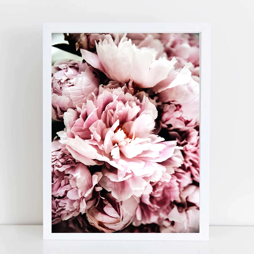 Cuadros Blush Peony Portrait Posters and Prints Wall Art Canvas Painting Flower Pictures For Living Room Plant Decor for Home
Cuadros Blush Peony Portrait Posters and Prints Wall Art Canvas Painting Flower Pictures For Living Room Plant Decor for Home