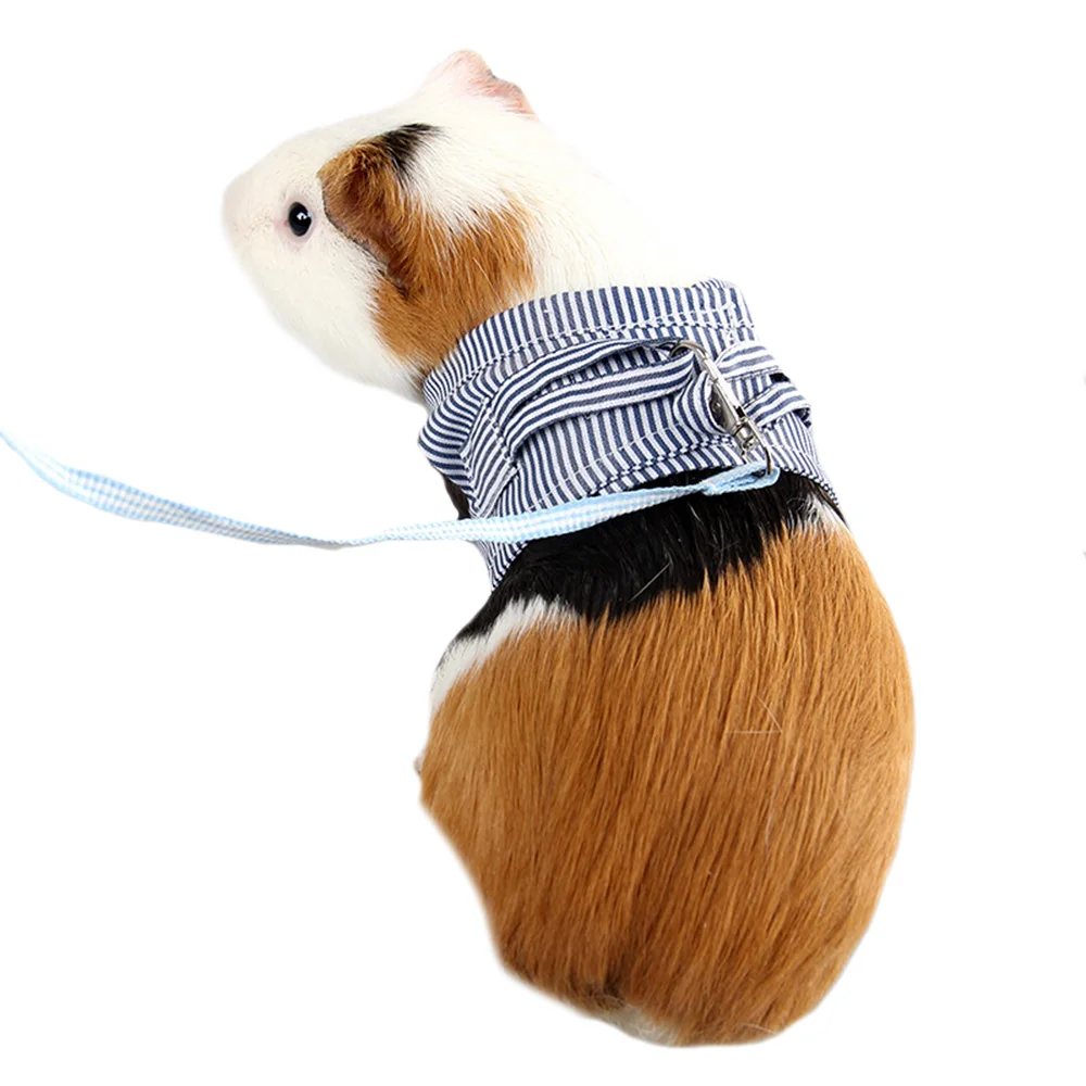 Guinea Pig Rabbit Harness and Leash Cotton Small Animals Harness Vest For Teacup Hamster Leash Traction Rope for Small Pet
Guinea Pig Rabbit Harness and Leash Cotton Small Animals Harness Vest For Teacup Hamster Leash Traction Rope for Small Pet
