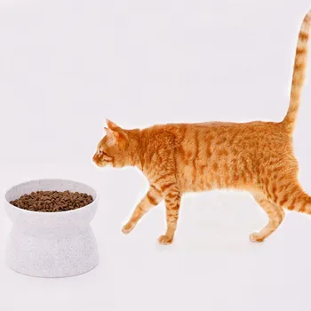 Creative Antiskid Cat Bowls With Raised Stand Pet Food And Water Bowl Perfect For Cats And Small Dogs Supplies
Creative Antiskid Cat Bowls With Raised Stand Pet Food And Water Bowl Perfect For Cats And Small Dogs Supplies