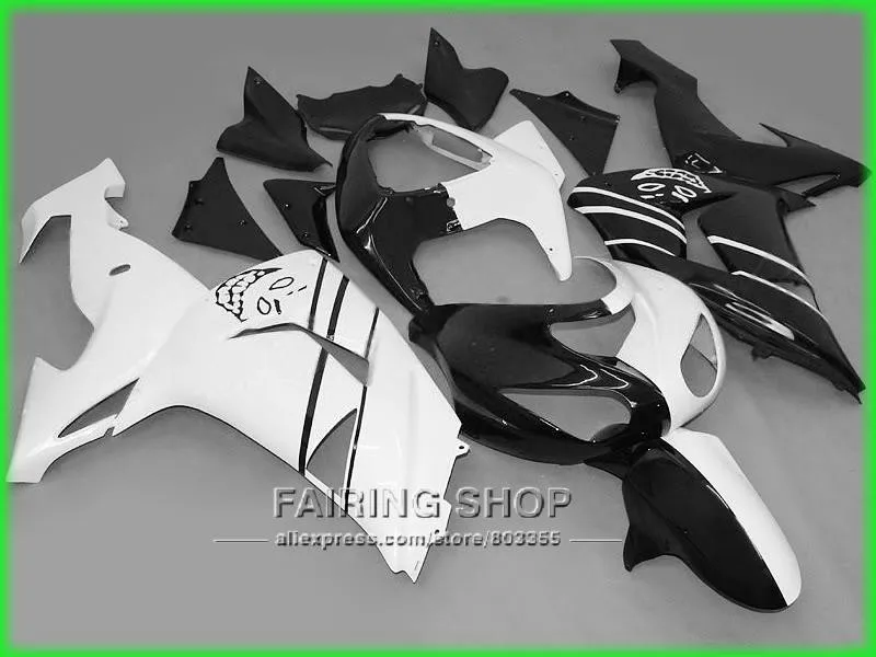 zx10r-0607-169