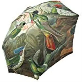 Hummingbirds Custom Foldable Sun Rain Travel Umbrella 100% Fabric Aluminium High-Quality Foldable Umbrella
Hummingbirds Custom Foldable Sun Rain Travel Umbrella 100% Fabric Aluminium High-Quality Foldable Umbrella